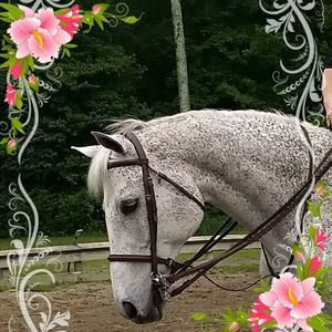 Meet your Posher, Cynthia